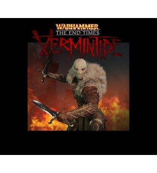 Warhammer: End Times - Vermintide - The Outsider DLC Steam Key GLOBAL